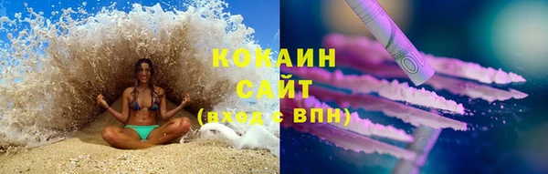 индика Медногорск