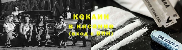 стаф Медвежьегорск
