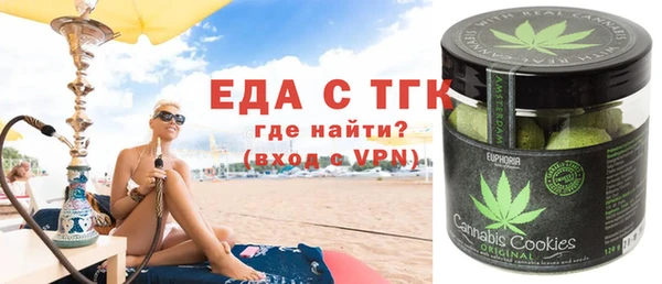 индика Медногорск