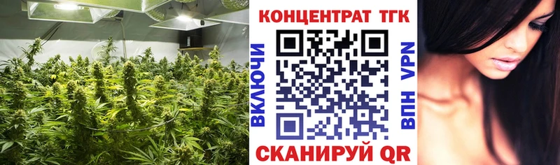 сколько стоит  Заволжск  Дистиллят ТГК концентрат 