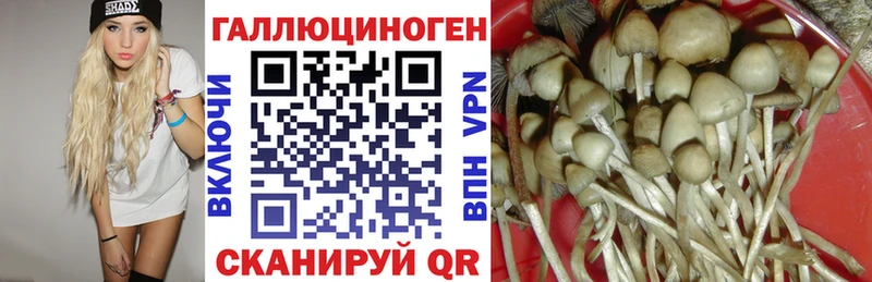 Псилоцибиновые грибы GOLDEN TEACHER  Заволжск 