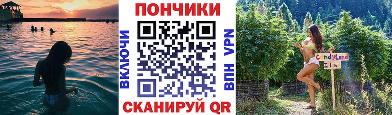 KRAKEN как войти Заволжск сайты даркнета какой сайт цена наркотик Бошки Шишки план
